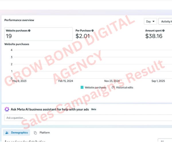 E-commerce Sales Campaign