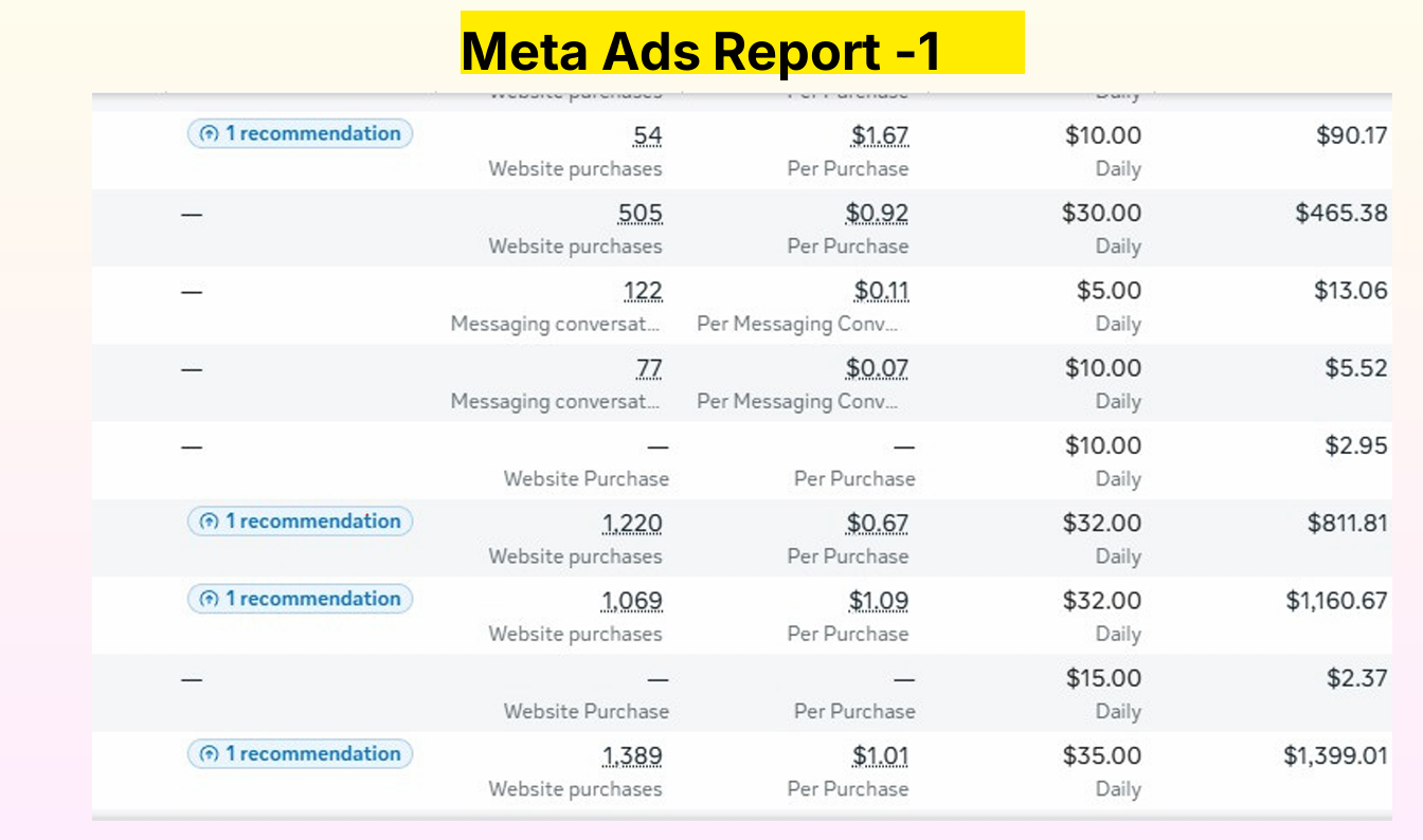 Meta Ads Report -1