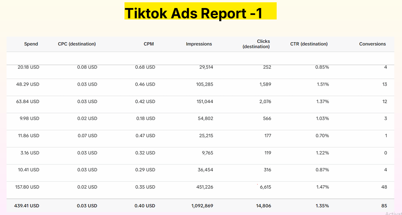 Tiktok Ads Report -1