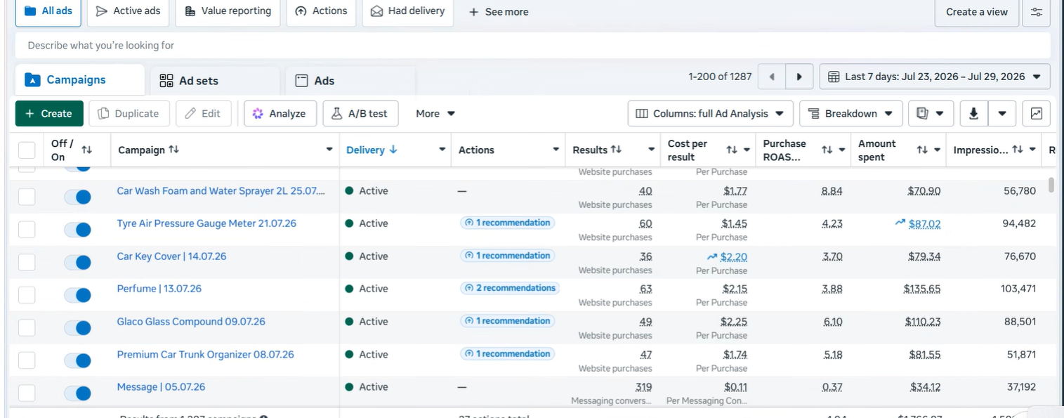 Meta Ads Campaign Management & E-commerce Performance Optimization